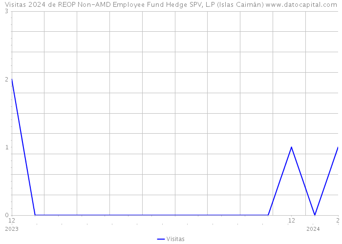 Visitas 2024 de REOP Non-AMD Employee Fund Hedge SPV, L.P (Islas Caimán) 
