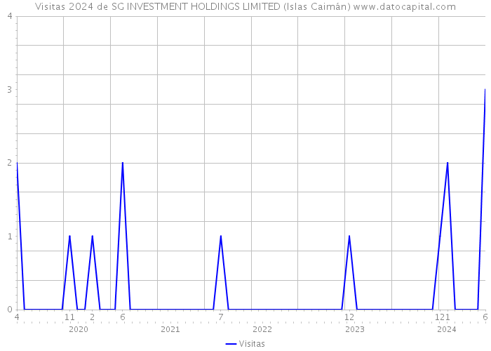 Visitas 2024 de SG INVESTMENT HOLDINGS LIMITED (Islas Caimán) 