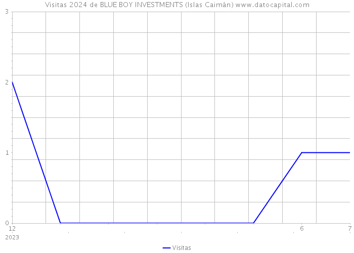 Visitas 2024 de BLUE BOY INVESTMENTS (Islas Caimán) 