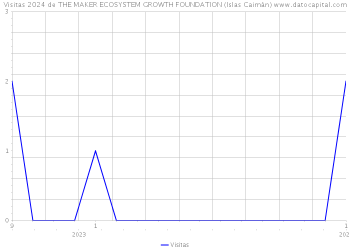 Visitas 2024 de THE MAKER ECOSYSTEM GROWTH FOUNDATION (Islas Caimán) 