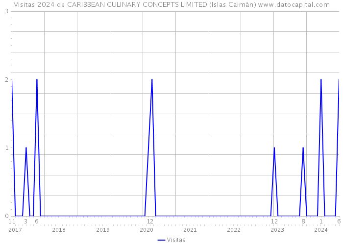 Visitas 2024 de CARIBBEAN CULINARY CONCEPTS LIMITED (Islas Caimán) 