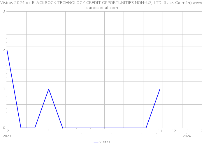 Visitas 2024 de BLACKROCK TECHNOLOGY CREDIT OPPORTUNITIES NON-US, LTD. (Islas Caimán) 