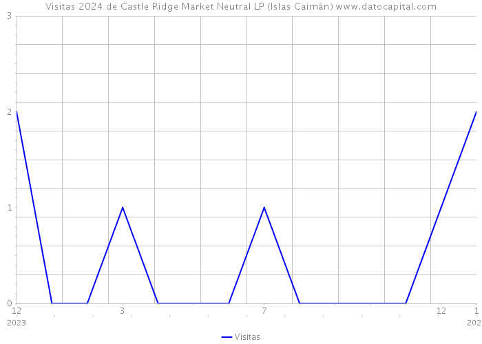 Visitas 2024 de Castle Ridge Market Neutral LP (Islas Caimán) 