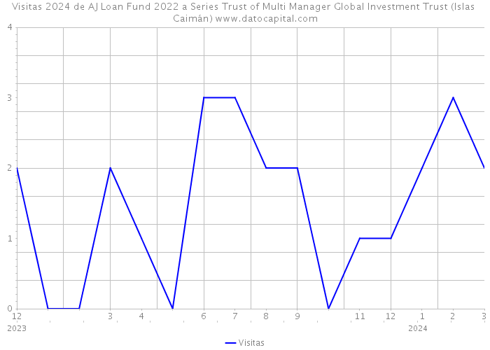 Visitas 2024 de AJ Loan Fund 2022 a Series Trust of Multi Manager Global Investment Trust (Islas Caimán) 