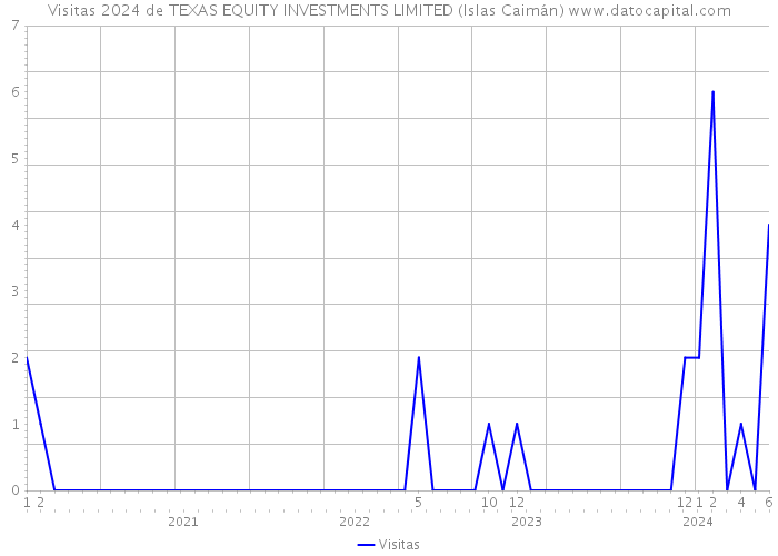 Visitas 2024 de TEXAS EQUITY INVESTMENTS LIMITED (Islas Caimán) 
