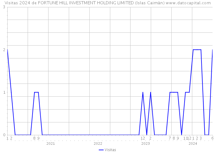 Visitas 2024 de FORTUNE HILL INVESTMENT HOLDING LIMITED (Islas Caimán) 
