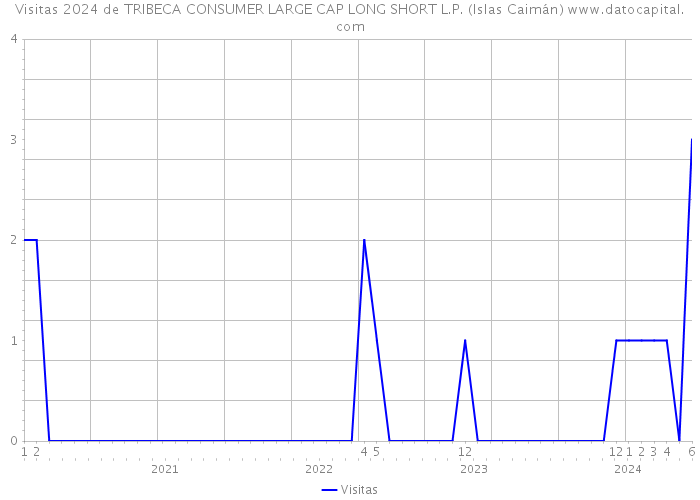 Visitas 2024 de TRIBECA CONSUMER LARGE CAP LONG SHORT L.P. (Islas Caimán) 