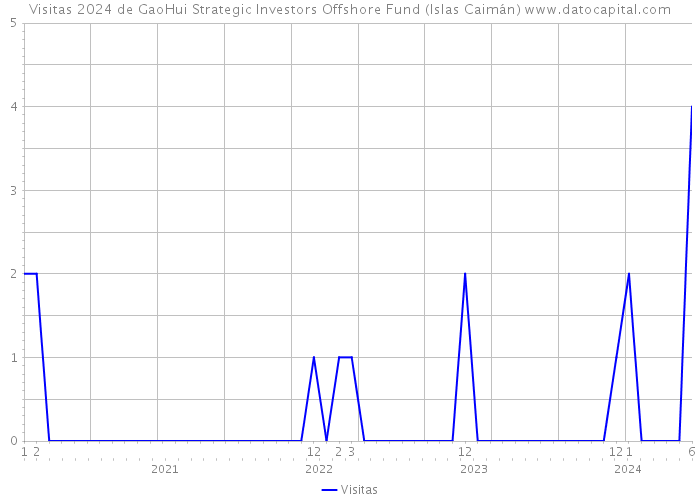 Visitas 2024 de GaoHui Strategic Investors Offshore Fund (Islas Caimán) 