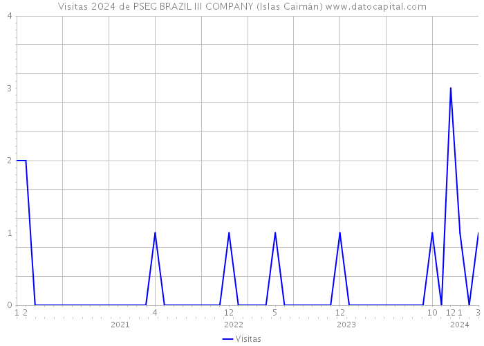 Visitas 2024 de PSEG BRAZIL III COMPANY (Islas Caimán) 