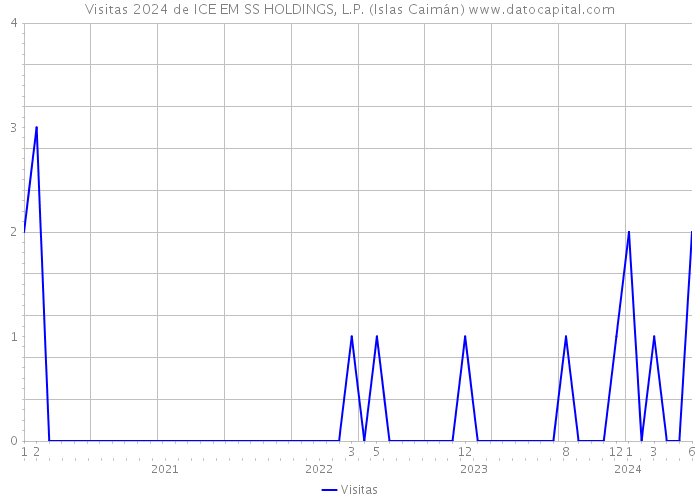 Visitas 2024 de ICE EM SS HOLDINGS, L.P. (Islas Caimán) 