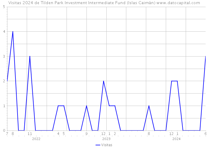 Visitas 2024 de Tilden Park Investment Intermediate Fund (Islas Caimán) 