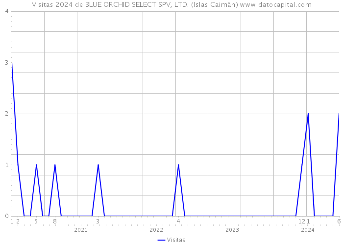 Visitas 2024 de BLUE ORCHID SELECT SPV, LTD. (Islas Caimán) 