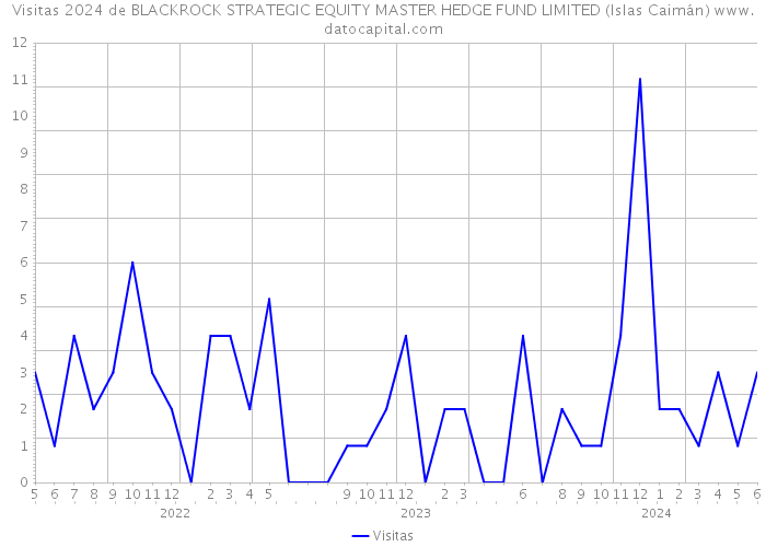 Visitas 2024 de BLACKROCK STRATEGIC EQUITY MASTER HEDGE FUND LIMITED (Islas Caimán) 