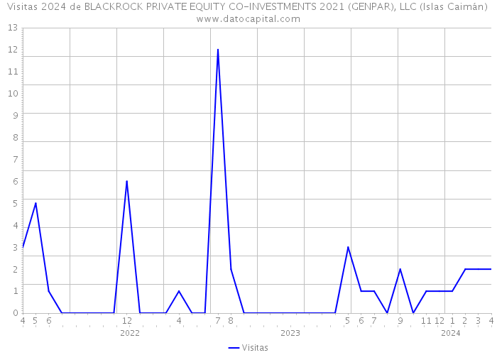 Visitas 2024 de BLACKROCK PRIVATE EQUITY CO-INVESTMENTS 2021 (GENPAR), LLC (Islas Caimán) 