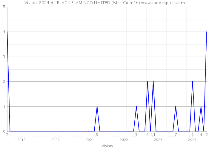 Visitas 2024 de BLACK FLAMINGO LIMITED (Islas Caimán) 