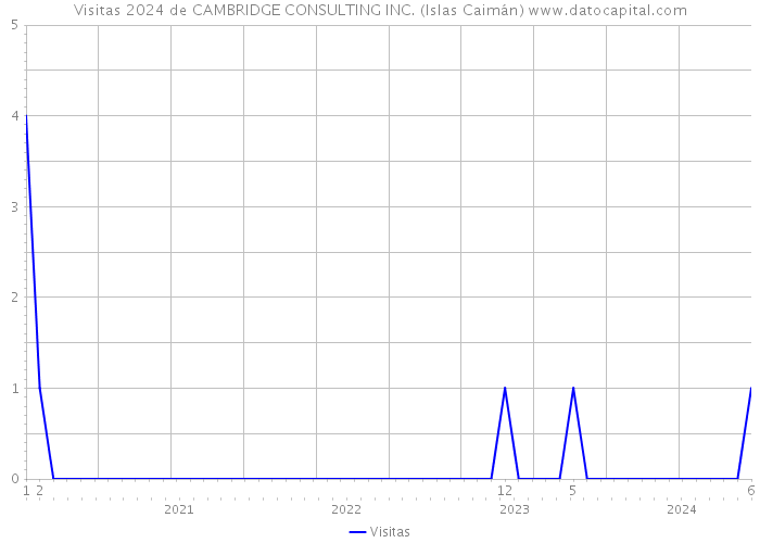 Visitas 2024 de CAMBRIDGE CONSULTING INC. (Islas Caimán) 