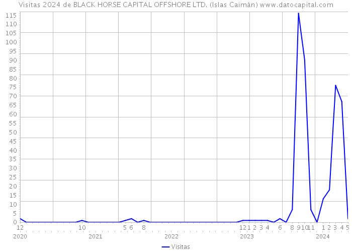 Visitas 2024 de BLACK HORSE CAPITAL OFFSHORE LTD. (Islas Caimán) 