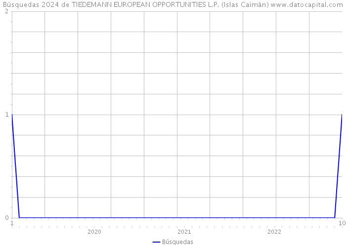 Búsquedas 2024 de TIEDEMANN EUROPEAN OPPORTUNITIES L.P. (Islas Caimán) 