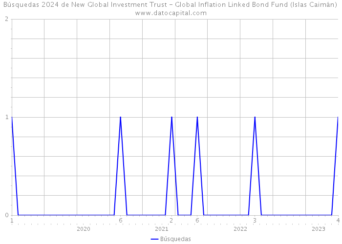 Búsquedas 2024 de New Global Investment Trust - Global Inflation Linked Bond Fund (Islas Caimán) 