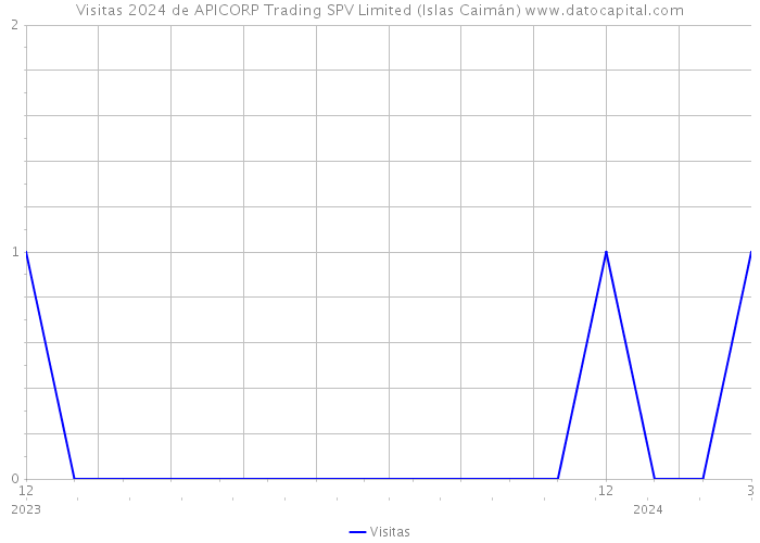 Visitas 2024 de APICORP Trading SPV Limited (Islas Caimán) 