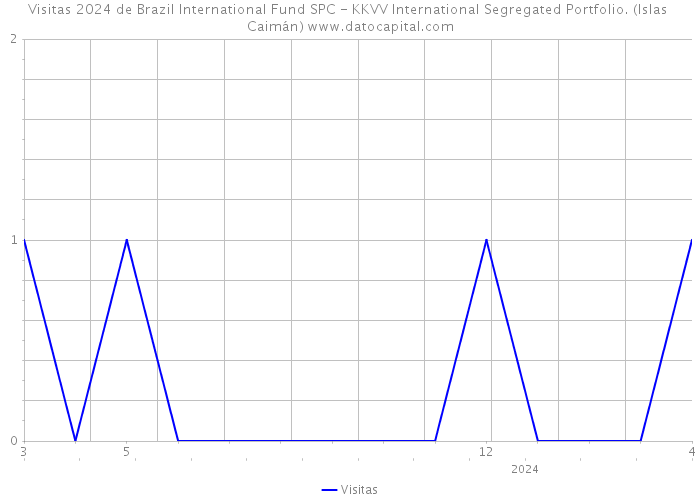 Visitas 2024 de Brazil International Fund SPC - KKVV International Segregated Portfolio. (Islas Caimán) 