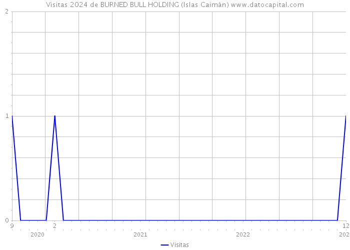 Visitas 2024 de BURNED BULL HOLDING (Islas Caimán) 