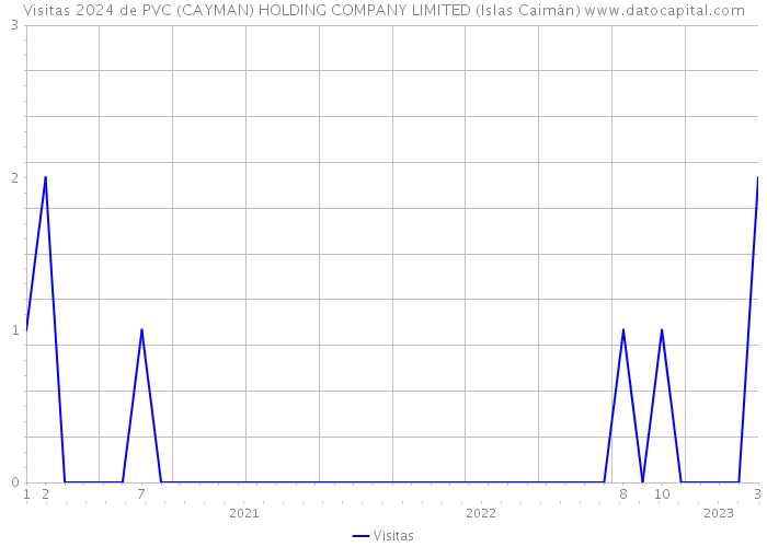 Visitas 2024 de PVC (CAYMAN) HOLDING COMPANY LIMITED (Islas Caimán) 