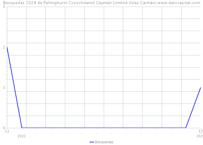 Búsquedas 2024 de Pallinghurst Consolidated Cayman Limited (Islas Caimán) 
