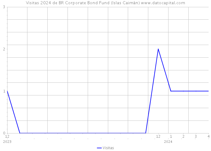 Visitas 2024 de BR Corporate Bond Fund (Islas Caimán) 