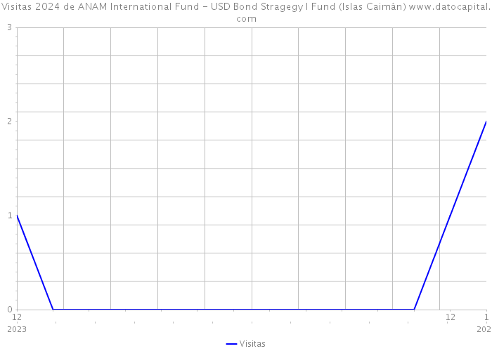 Visitas 2024 de ANAM International Fund - USD Bond Stragegy I Fund (Islas Caimán) 