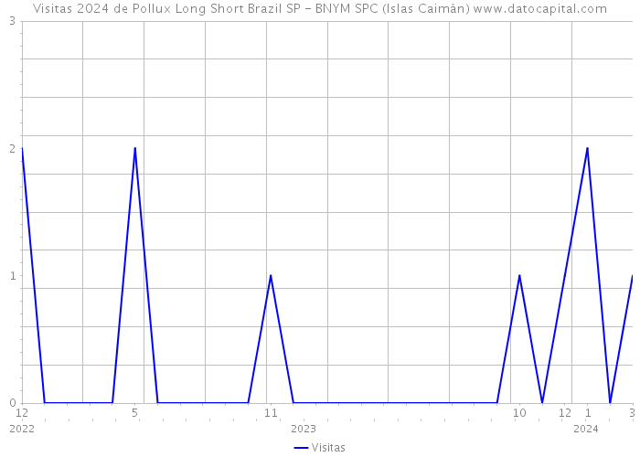 Visitas 2024 de Pollux Long Short Brazil SP - BNYM SPC (Islas Caimán) 