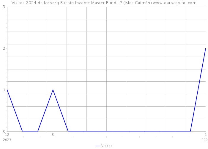 Visitas 2024 de Iceberg Bitcoin Income Master Fund LP (Islas Caimán) 