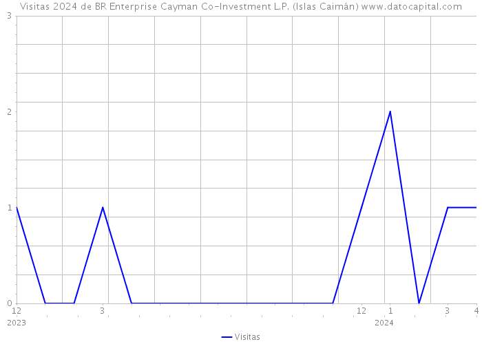 Visitas 2024 de BR Enterprise Cayman Co-Investment L.P. (Islas Caimán) 