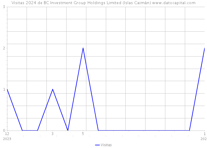 Visitas 2024 de BC Investment Group Holdings Limited (Islas Caimán) 