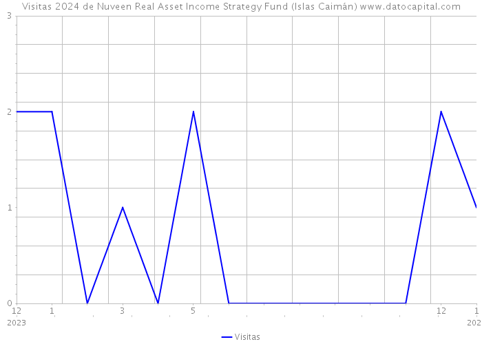 Visitas 2024 de Nuveen Real Asset Income Strategy Fund (Islas Caimán) 