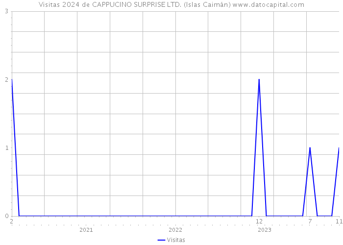 Visitas 2024 de CAPPUCINO SURPRISE LTD. (Islas Caimán) 