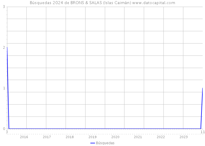 Búsquedas 2024 de BRONS & SALAS (Islas Caimán) 