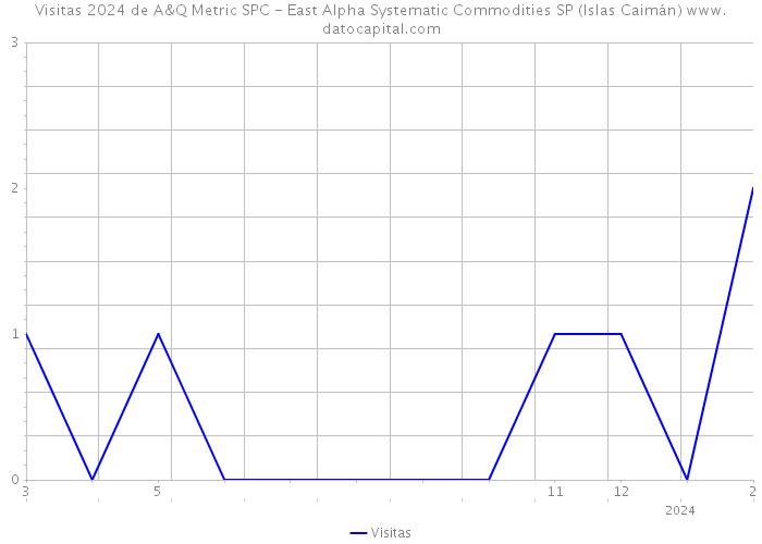 Visitas 2024 de A&Q Metric SPC - East Alpha Systematic Commodities SP (Islas Caimán) 