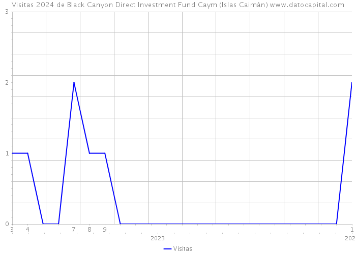 Visitas 2024 de Black Canyon Direct Investment Fund Caym (Islas Caimán) 