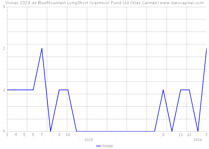 Visitas 2024 de BlueMountain LongShort Grasmoor Fund Ltd (Islas Caimán) 