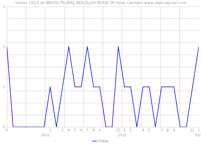 Visitas 2024 de BRASIL PLURAL BRAZILIAN BOND SP (Islas Caimán) 