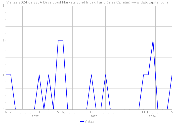 Visitas 2024 de SSgA Developed Markets Bond Index Fund (Islas Caimán) 