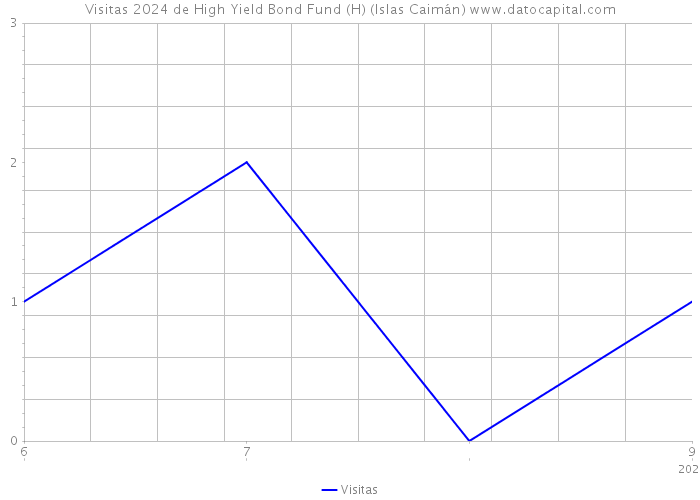 Visitas 2024 de High Yield Bond Fund (H) (Islas Caimán) 