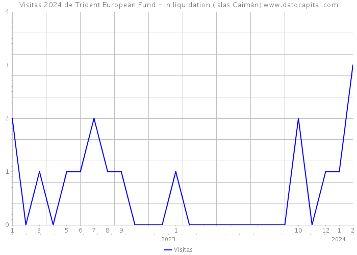 Visitas 2024 de Trident European Fund - in liquidation (Islas Caimán) 