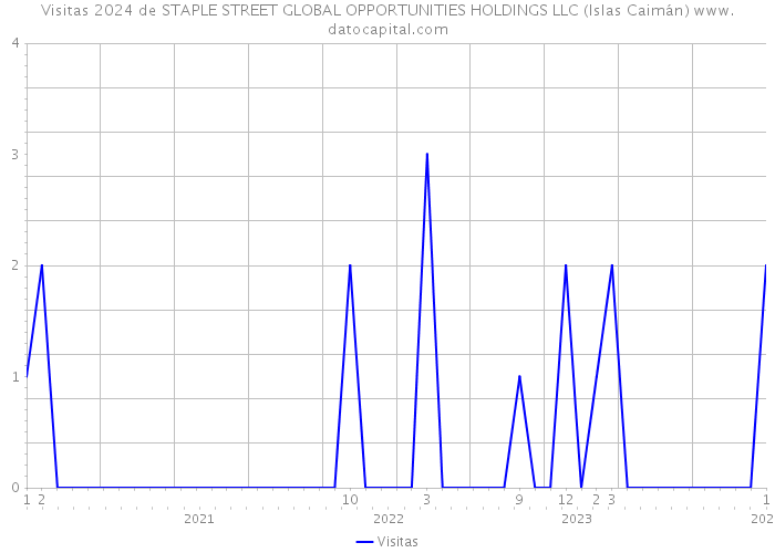 Visitas 2024 de STAPLE STREET GLOBAL OPPORTUNITIES HOLDINGS LLC (Islas Caimán) 