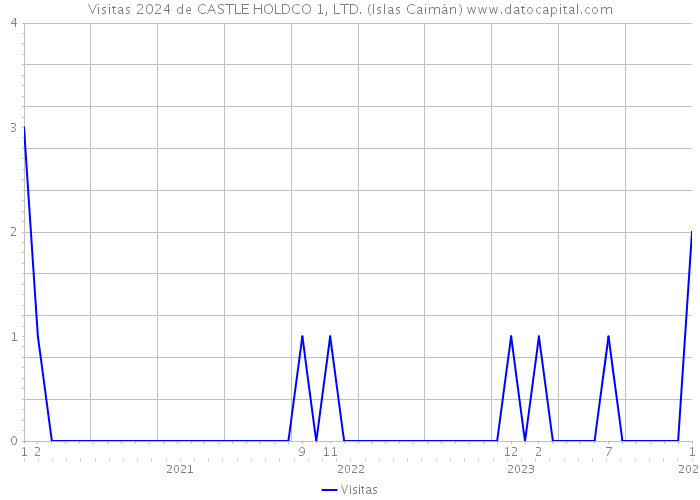 Visitas 2024 de CASTLE HOLDCO 1, LTD. (Islas Caimán) 