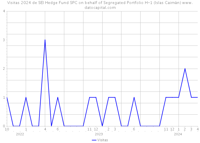 Visitas 2024 de SEI Hedge Fund SPC on behalf of Segregated Portfolio H-1 (Islas Caimán) 