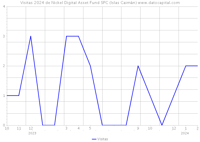 Visitas 2024 de Nickel Digital Asset Fund SPC (Islas Caimán) 