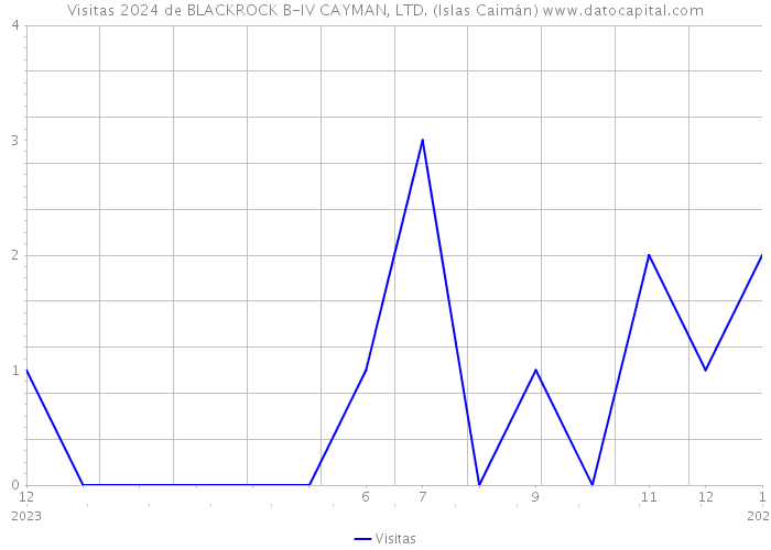 Visitas 2024 de BLACKROCK B-IV CAYMAN, LTD. (Islas Caimán) 