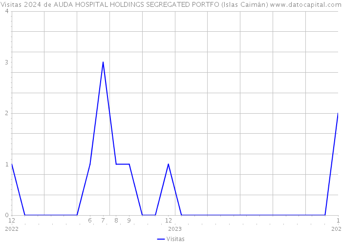 Visitas 2024 de AUDA HOSPITAL HOLDINGS SEGREGATED PORTFO (Islas Caimán) 